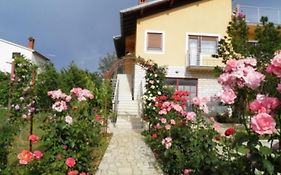 Apartments Nela